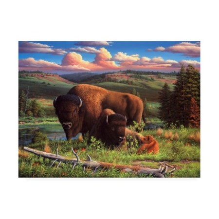 R W Hedge 'Buffalo Nation' Canvas Art,14x19